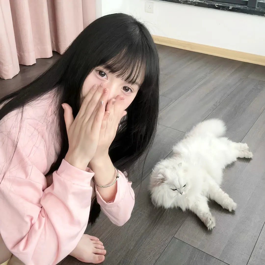 山河依旧满春风