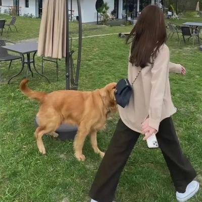 苏珊的爱情经历